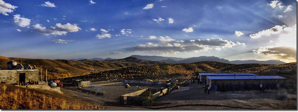 مجموعه پرورش سرزمین سگ ها
