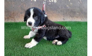 -23_9