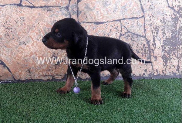 --10_4_1998619920