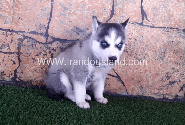 --22_11