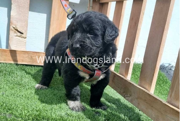 -94_5