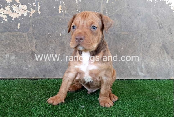 -_-19_10