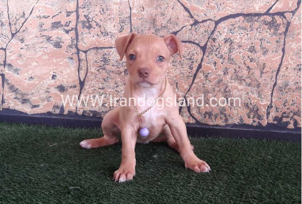 20187192